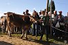 083 Fiera Zootecnica di Serina 2019